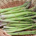 Šparglji - sadike za vrt