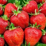 jagode ostara mesecne