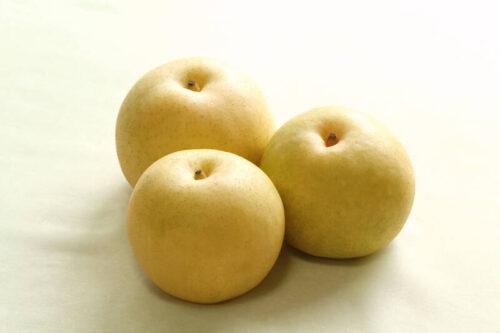 Naši (nashi) Nijisseiki, sadike Mirosan