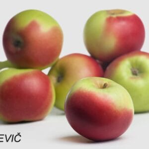 Jabolka Carjevič (5 kg zabojček)