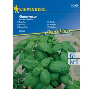 Seme Bazilika Genoveser, Kiepenkerl