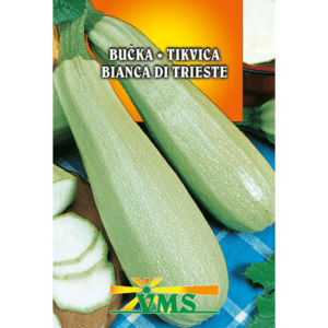 Seme Bučke Bianca di Trieste VMS (svetle)