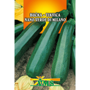 Seme Bučke Nano verde di Milano VMS (temne, cukini)