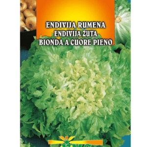 Seme Endivija Bionda a cuore pieno VMS (odporna, rumena)