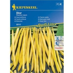 Seme Fižol Dior, Kiepenkerl (nizek, odporen)