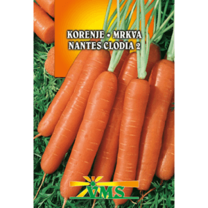 Seme Korenje Nantes Clodia 2 VMS (srednje zgodnji)