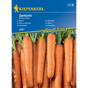 Seme Korenje Santorin F1, Kiepenkerl (srednje zgodnji)