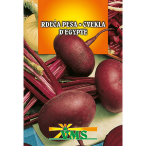 Seme Rdeča pesa D'Egypte VMS