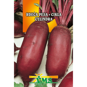 Seme Rdeča pesa Cylindria VMS (podolgovata)
