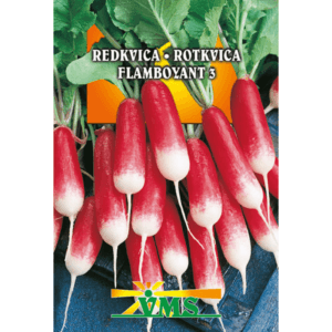 Seme Redkvica Flamboyant 3 VMS