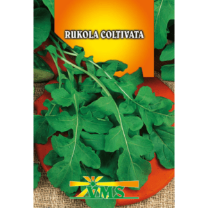 Seme Rukola Coltivata VMS