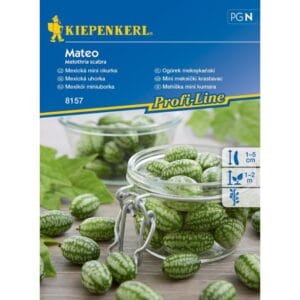 Seme Mini mehiške kumare, Kiepenkerl