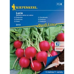 Seme Redkvica Lucia Kiepenkerl (semenski trak, odporna)