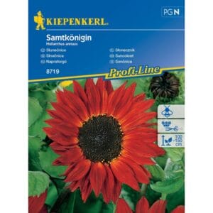 Seme Sončnica Samtkönigin, Kiepenkerl (rdeča)