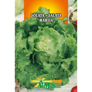 Seme Solata Marija VMS (krhkolistna, celoletna)
