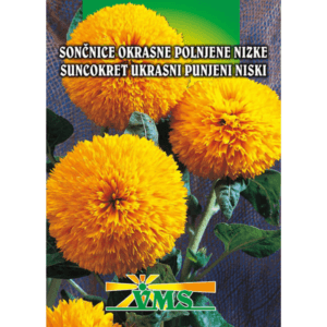 Seme Sončnice VMS (nizke, polnjene)