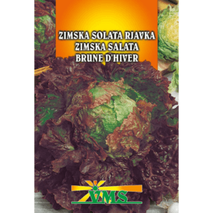 Seme Solata Rjavka Brune D'Hiver VMS (zimska)