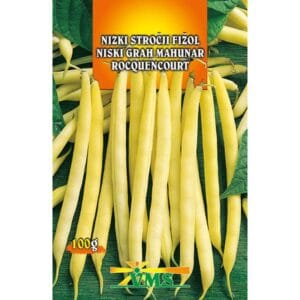 Seme Fižol Rocquencourt, VMS (nizek, zgodnji, stročji)