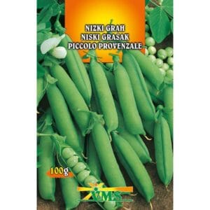 Seme Grah Picollo provenzale, VMS (zgoden, nizek, okroglozrnat)