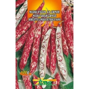 Seme Fižol Borlotto lingua di fuoco nano, VMS (nizki za zrnje )
