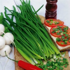 Drobnjak Alando® (izjemna aroma in obstojnost)