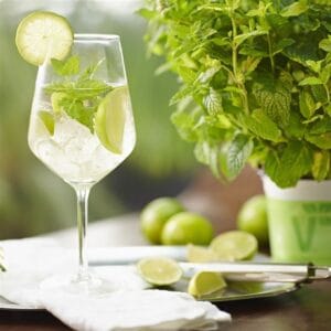 Meta Hugo (koktajl meta)