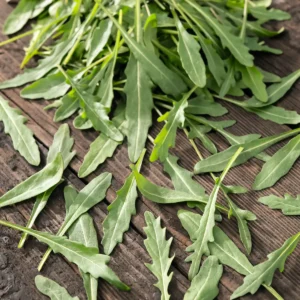 Divja rukola Farina (Diplotaxis tenuifolia)