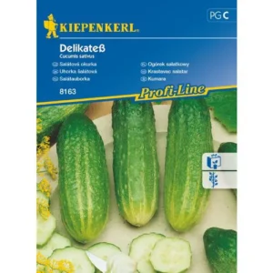 Seme Kumare Delikateß, Kiepenkerl (solatne & za vlaganje)