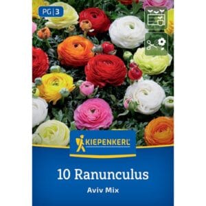 Ranunkule Aviv Mix, Kiepenkerl
