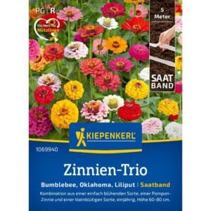 Seme Cinije Trio, Kiepenkerl