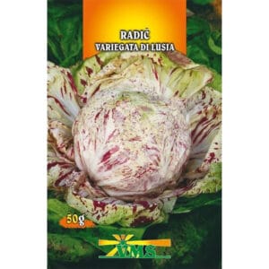 Seme Radič Variegata di Lusia VMS (pisani, tip Castelfranco)