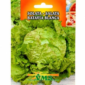 Seme Solata Batavia Blanca, VMS